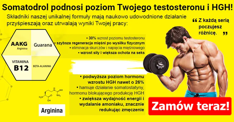Somatodrol co to